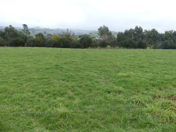 Sixth view of Homely rural property listing, 91 West Kentish Rd, Sheffield TAS 7306