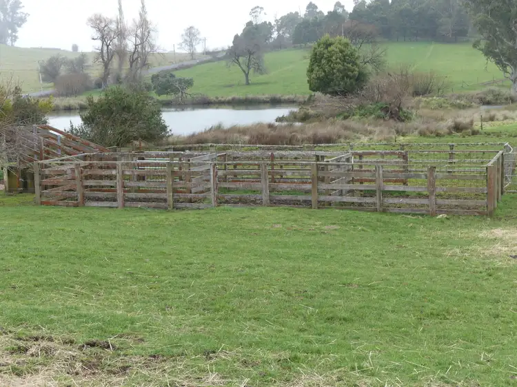 Seventh view of Homely rural property listing, 91 West Kentish Rd, Sheffield TAS 7306