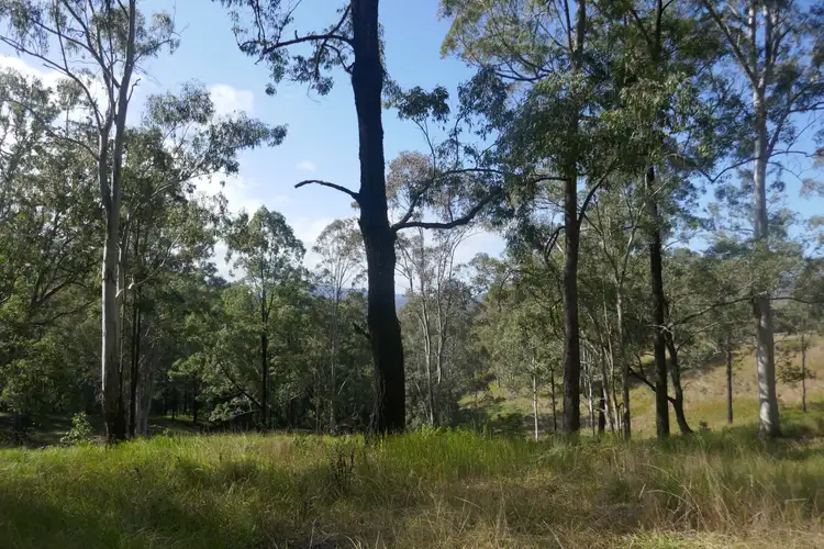 Fifth view of Homely land listing, 136 Forest Road, Lynchs Cr, Kyogle NSW 2474