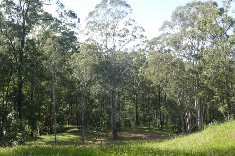 Sixth view of Homely land listing, 136 Forest Road, Lynchs Cr, Kyogle NSW 2474