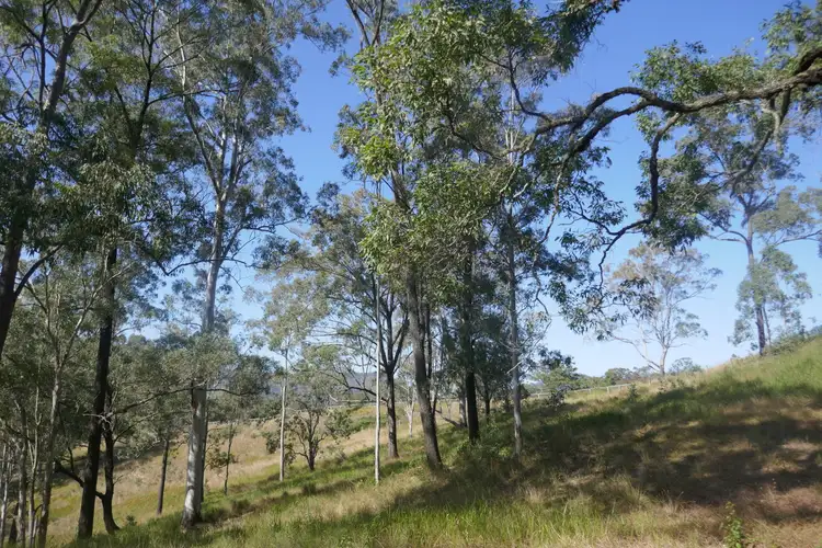 Seventh view of Homely land listing, 136 Forest Road, Lynchs Cr, Kyogle NSW 2474