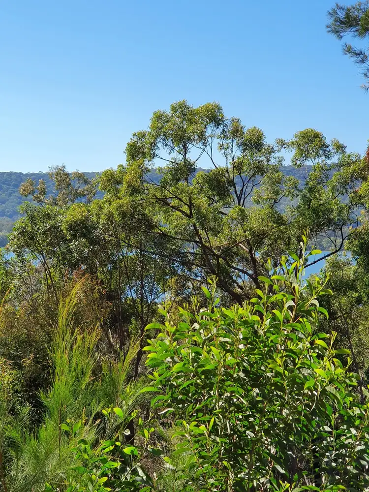 Third view of Homely land listing, 71 Hume St, Russell Island QLD 4184