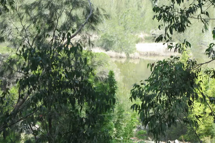 Fifth view of Homely land listing, 171 Webbs Creek Rd, Webbs Creek NSW 2775