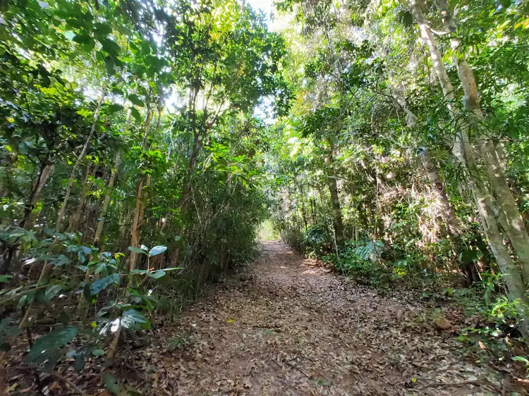 Sixth view of Homely land listing, LOT 3 Garners Beach Rd, Garners Beach QLD 4852