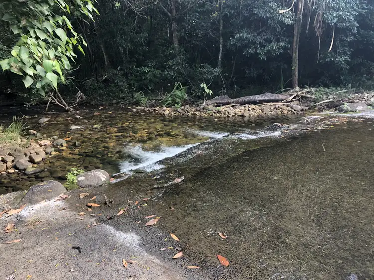 Main view of Homely house listing, 629 Tully Gorge Rd, Jarra Creek QLD 4854