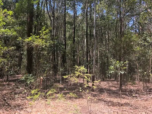 Second view of Homely house listing, 412 Murray Scrub Rd, Kyogle NSW 2474