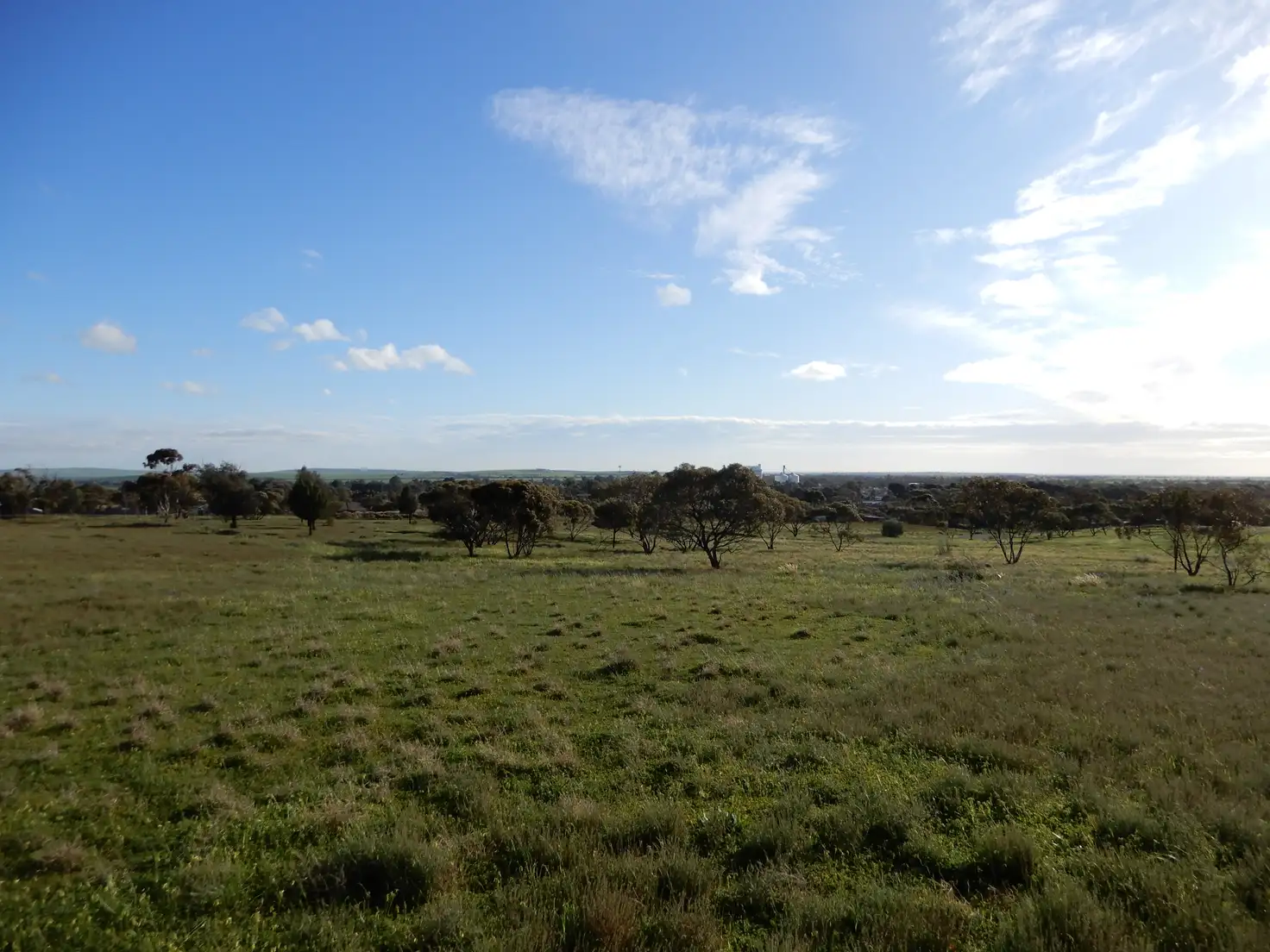 Main view of Homely land listing, Section 41 Public Road, Crystal Brook SA 5523
