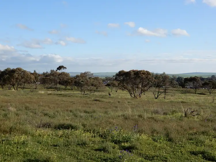 Third view of Homely land listing, Section 41 Public Road, Crystal Brook SA 5523