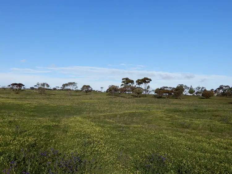 Fifth view of Homely land listing, Section 41 Public Road, Crystal Brook SA 5523