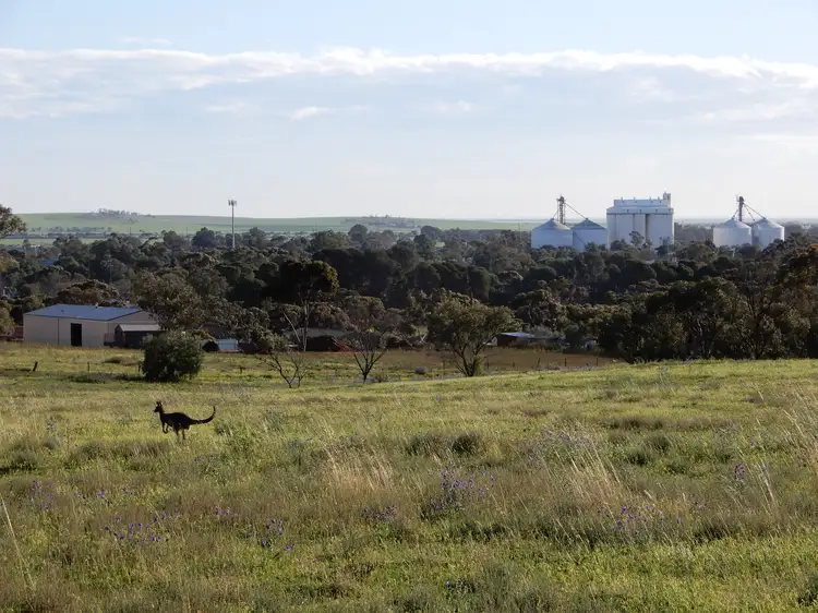 Section 40 Public Road, Crystal Brook SA 5523