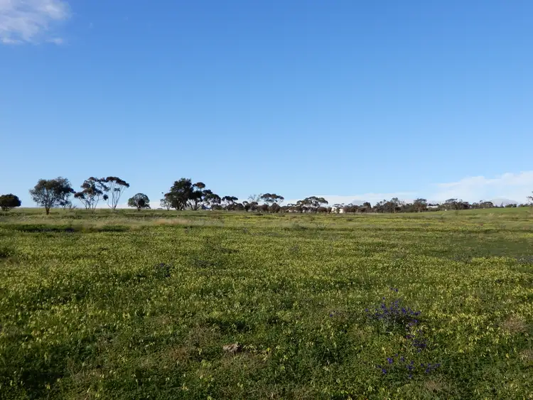 Fourth view of Homely land listing, Section 40 Public Road, Crystal Brook SA 5523