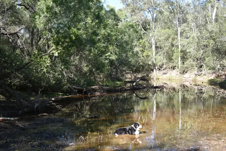 Fifth view of Homely rural property listing, One Thirty Rd, Glenbar QLD 4620