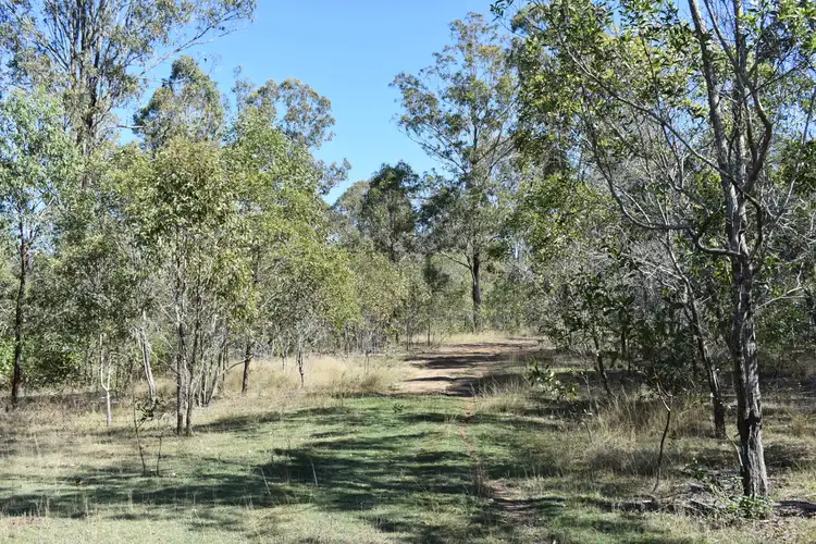 Seventh view of Homely rural property listing, One Thirty Rd, Glenbar QLD 4620