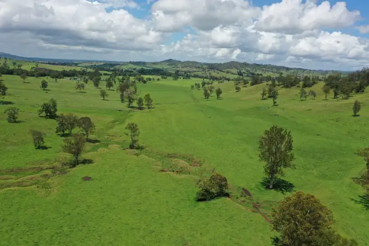 Second view of Homely rural property listing, 141 Green Pigeon Rd, Kyogle NSW 2474