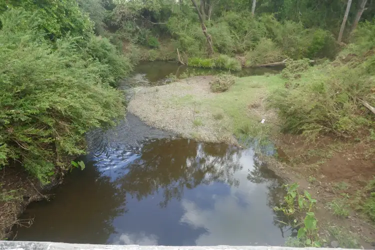 Third view of Homely rural property listing, 141 Green Pigeon Rd, Kyogle NSW 2474