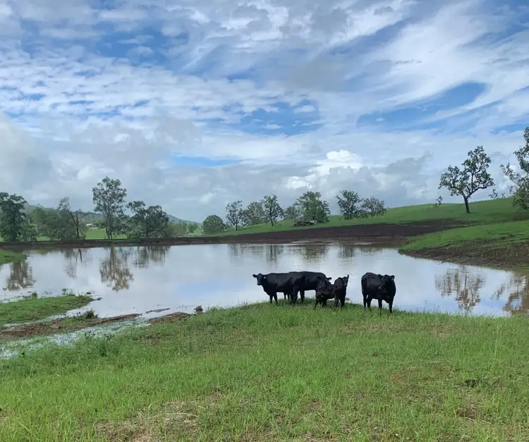 Fourth view of Homely rural property listing, 141 Green Pigeon Rd, Kyogle NSW 2474