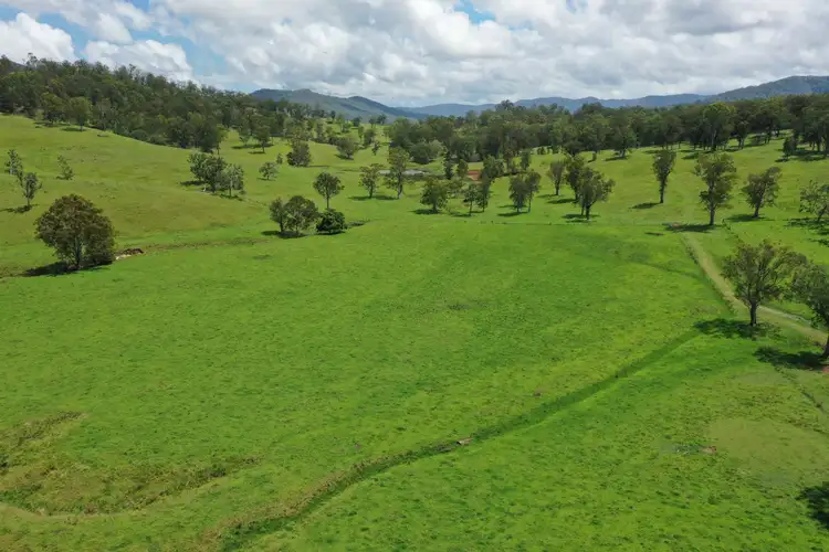 Fifth view of Homely rural property listing, 141 Green Pigeon Rd, Kyogle NSW 2474