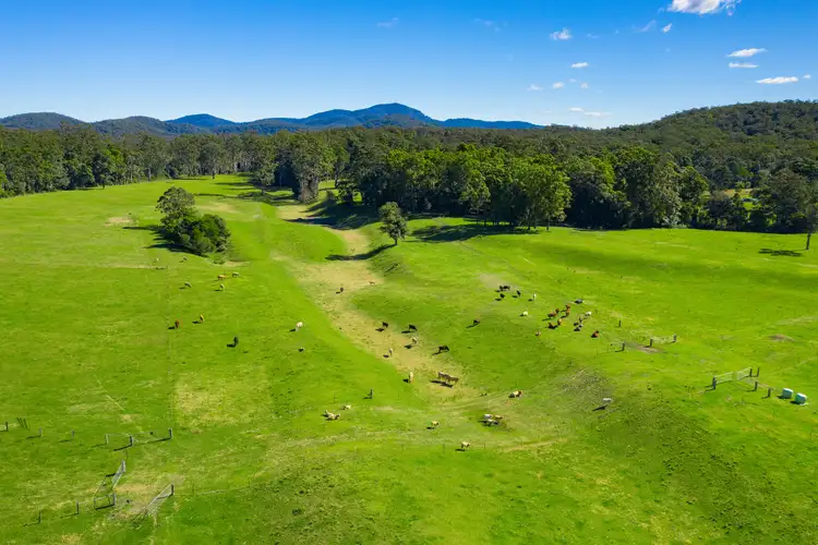 Third view of Homely rural property listing, 493 Rollands Plains Rd, Telegraph Point NSW 2441