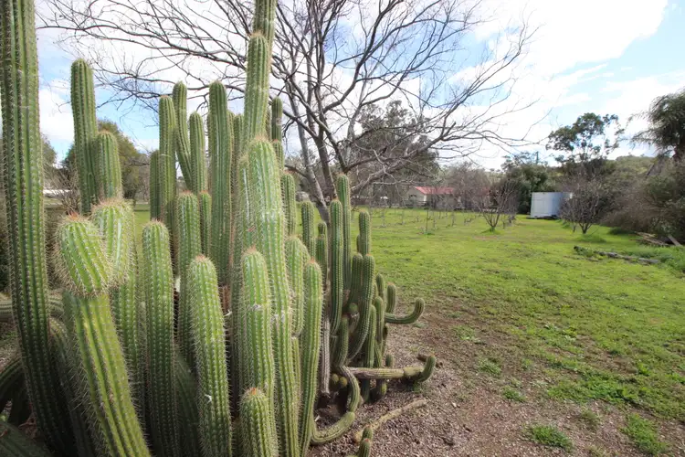 Third view of Homely land listing, 9 Miller, Gundy NSW 2337
