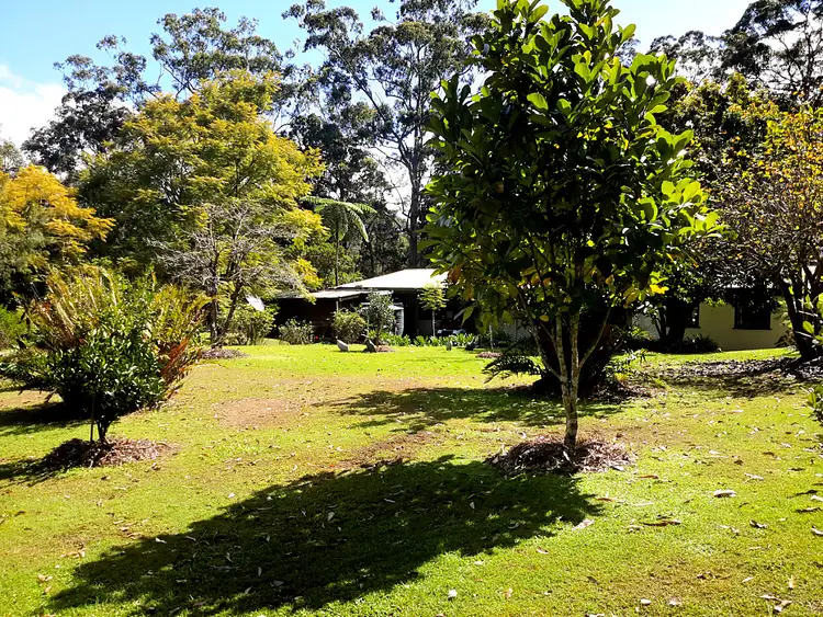Fifth view of Homely rural property listing, 369 Tully Falls Rd, Ravenshoe QLD 4888