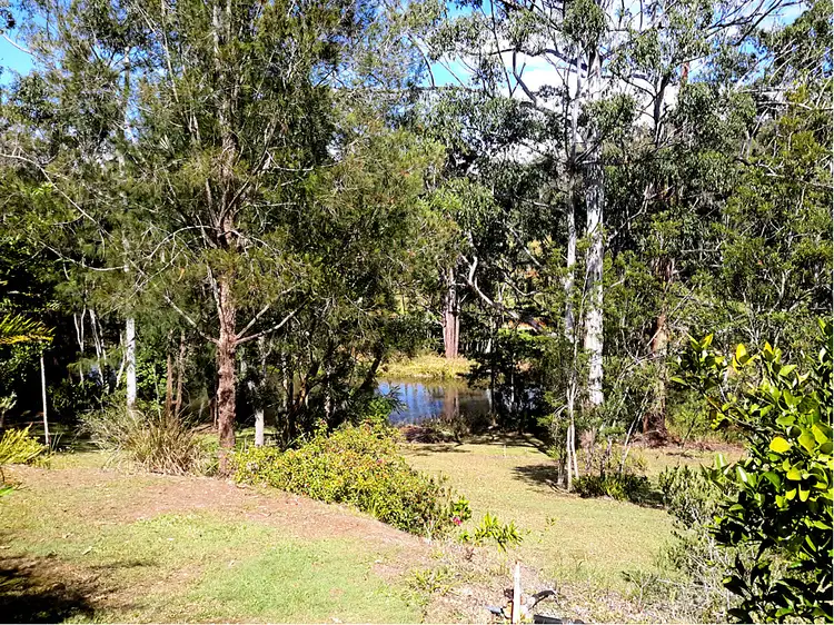 Seventh view of Homely rural property listing, 369 Tully Falls Rd, Ravenshoe QLD 4888