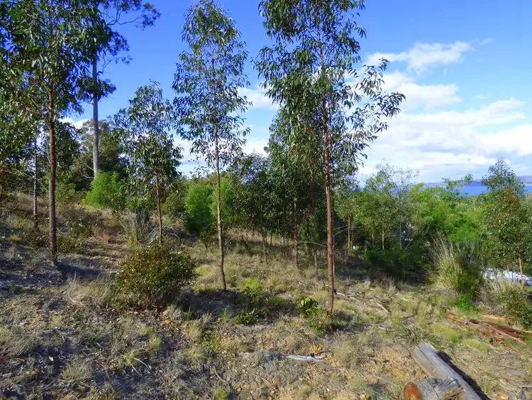 Third view of Homely land listing, 4 Whale Cove Cct, Eden NSW 2551