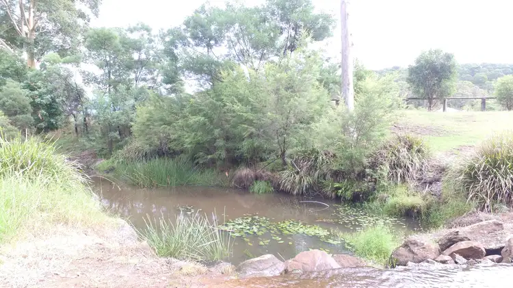 Seventh view of Homely rural property listing, 936A Putty Valley Rd, Putty NSW 2330