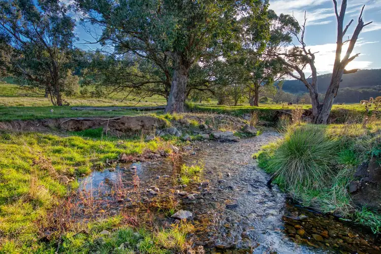 Sixth view of Homely rural property listing, 3724 Tallangatta Creek Rd, Tallangatta Valley VIC 3701