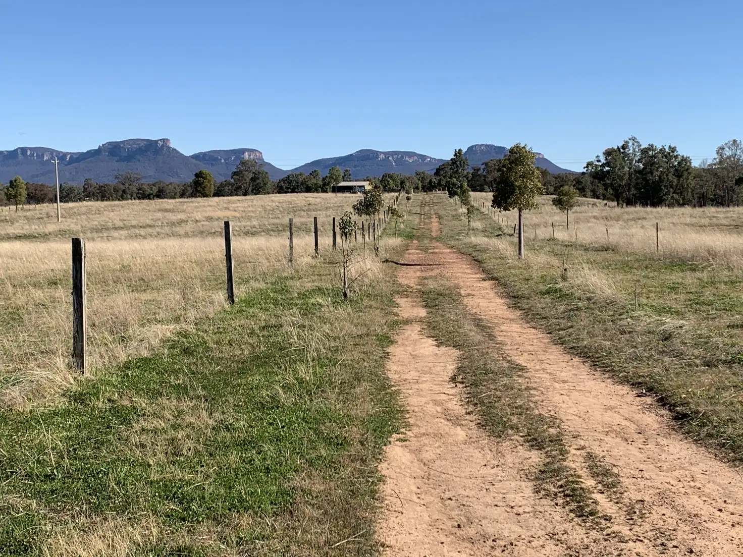 Main view of Homely rural property listing, 2812 Glen Alice Rd, Rylstone NSW 2849