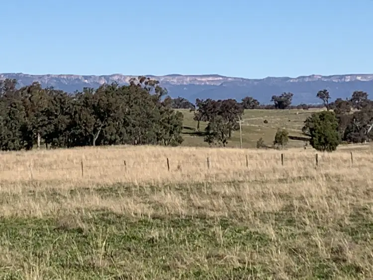 Fifth view of Homely rural property listing, 2812 Glen Alice Rd, Rylstone NSW 2849