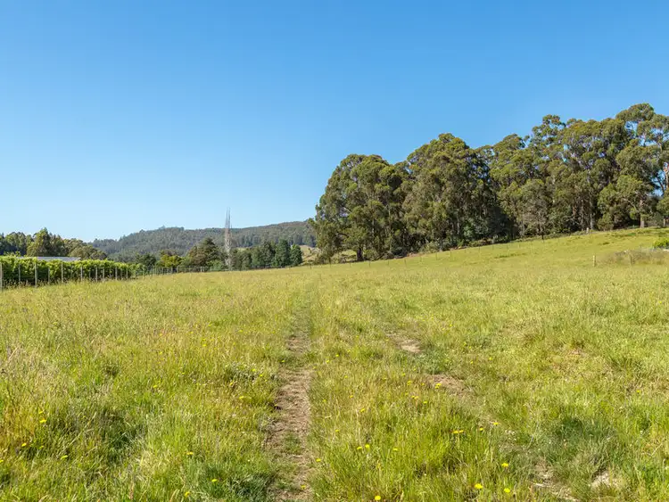 Fifth view of Homely land listing, 34539/1 Kermandie River Road, Geeveston TAS 7116