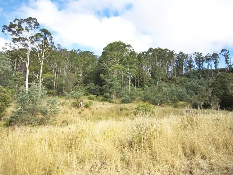 Second view of Homely land listing, 594 Spellmans Road, Wilmot TAS 7310