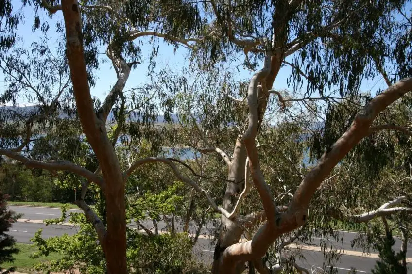 Main view of Homely unit listing, 1/36 Clyde Street, Jindabyne NSW 2627