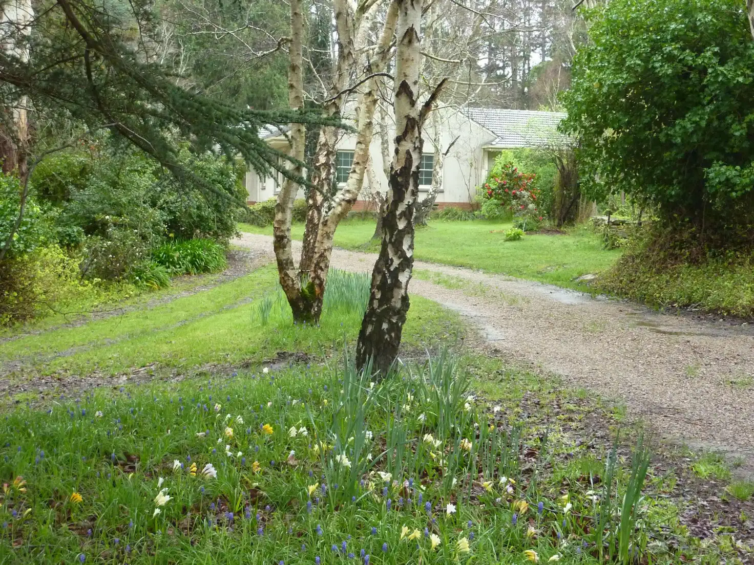 Main view of Homely rural property listing, 2556 Range Road St, Victor Harbor SA 5211