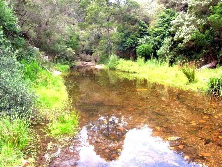 Second view of Homely rural property listing, 145 Ruggs Road, Nethercote NSW 2549