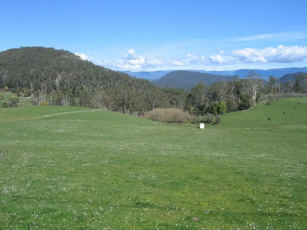 Main view of Homely rural property listing, Address available on request