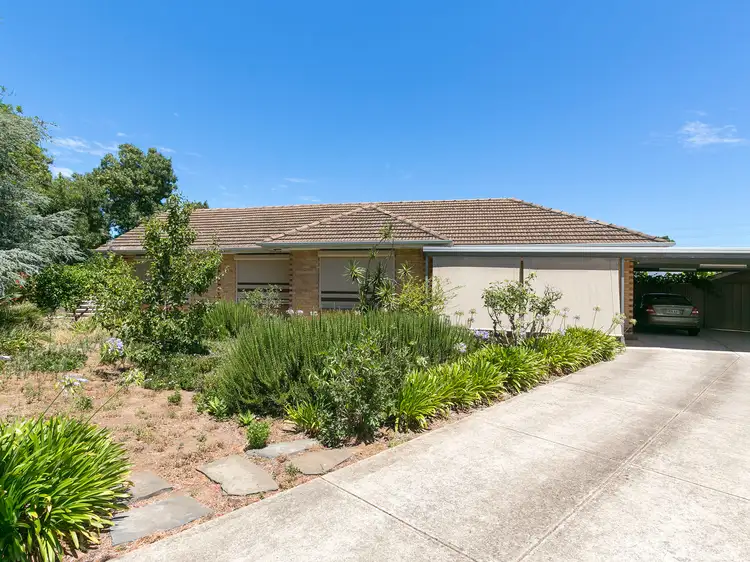 44 Gray Street, Plympton SA 5038