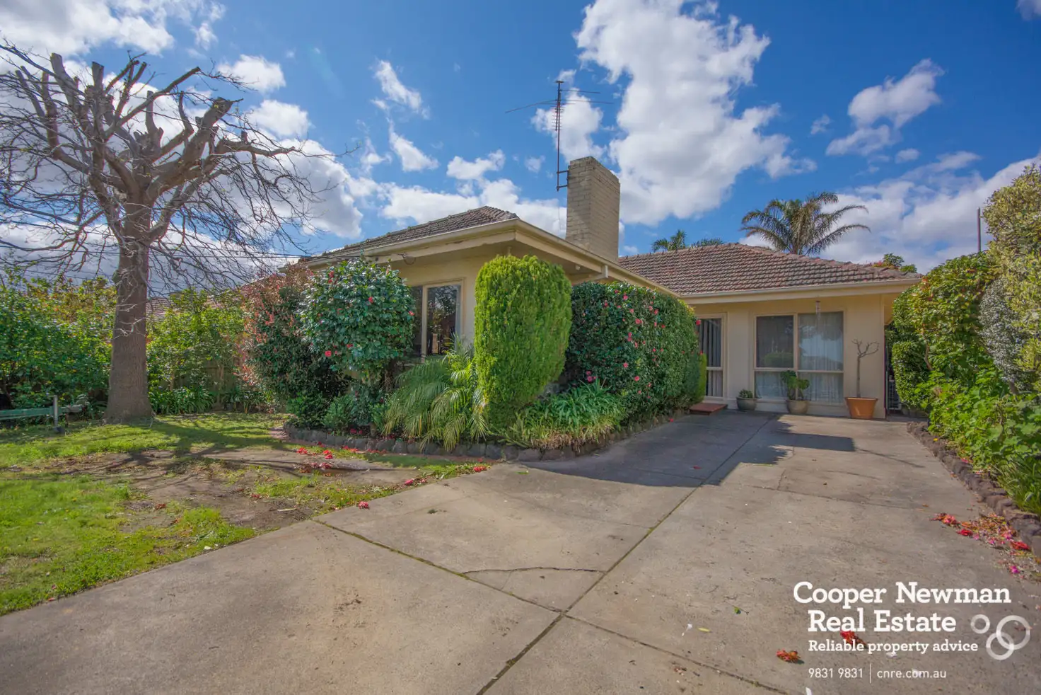 Main view of Homely house listing, 98 Roslyn Street, Burwood VIC 3125