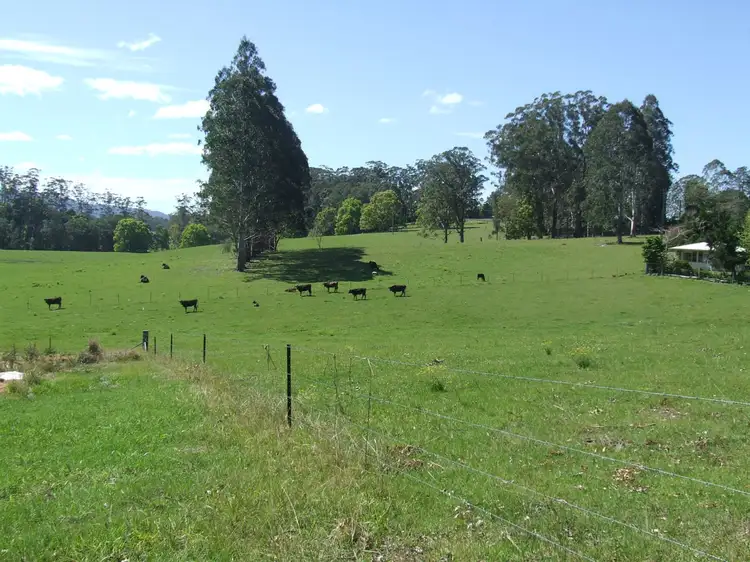Main view of Homely rural property listing, Lot 220 Mardells Road, Bucca, Coffs Harbour NSW 2450