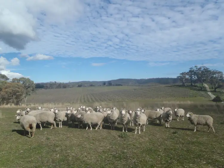 Second view of Homely land listing, L37 Block 9 Road, Wirrabara SA 5481