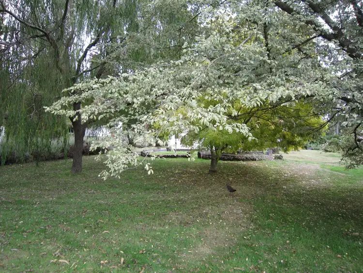 Second view of Homely house listing, 56 Henslowe Street, Spreyton TAS 7310