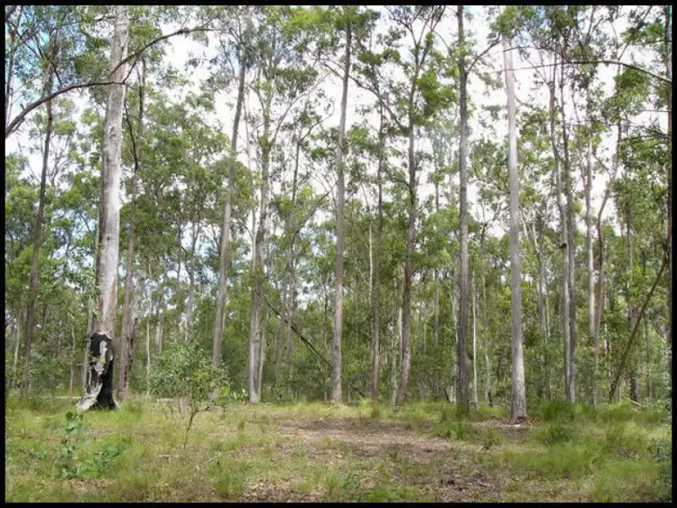 Fourth view of Homely land listing, 1533 Talagala Drive, Tiaro QLD 4650