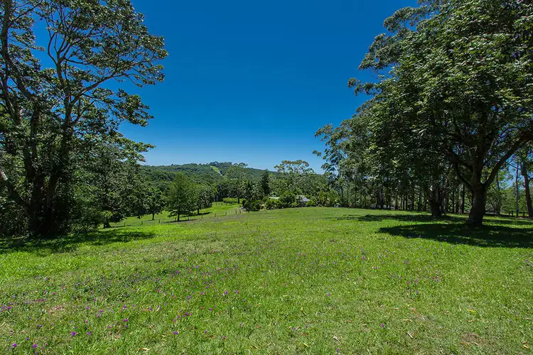 Fifth view of Homely house listing, 96 Repentance Creek Road, Rosebank NSW 2480