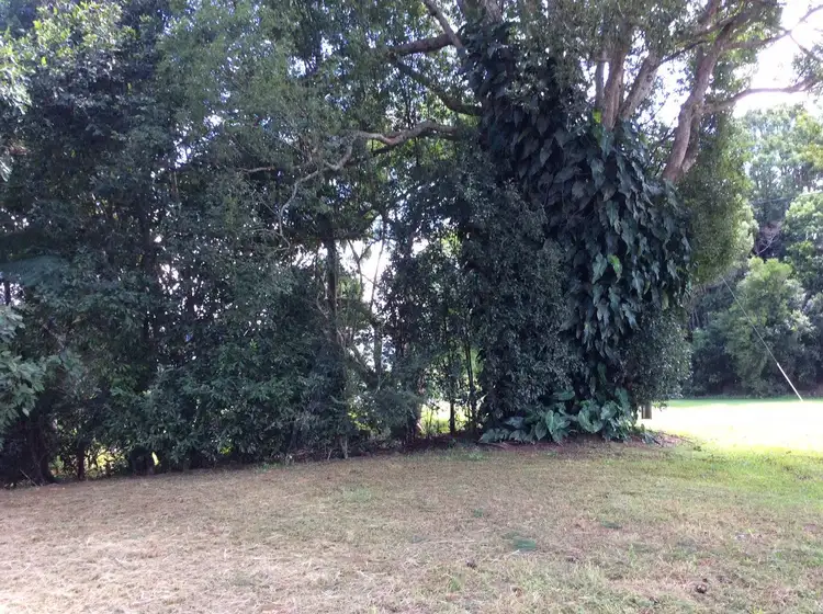 Third view of Homely land listing, 1 James Street, Malanda QLD 4885