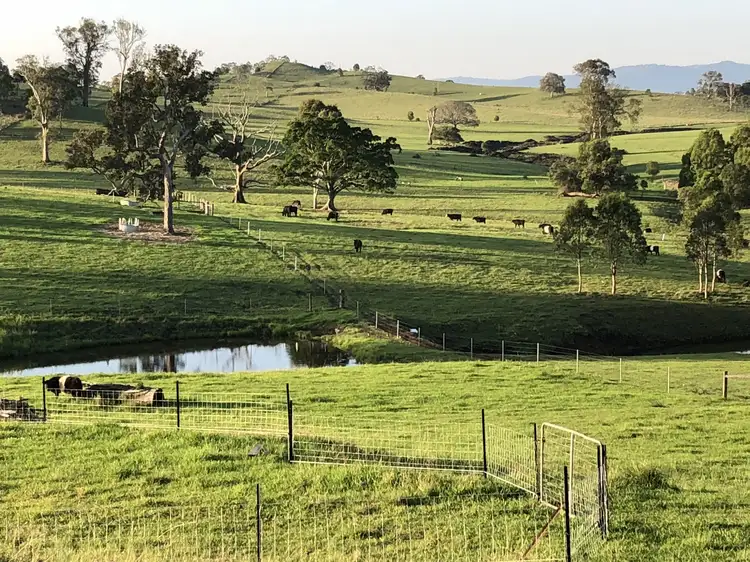 Main view of Homely house listing, 427 Homeleigh Road, Kyogle NSW 2474