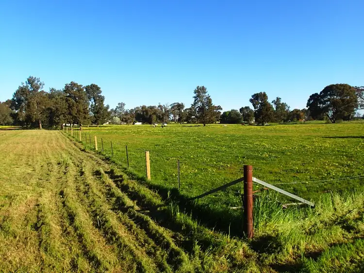 Third view of Homely rural property listing, 1 Kirkham Street, Lowesdale NSW 2646