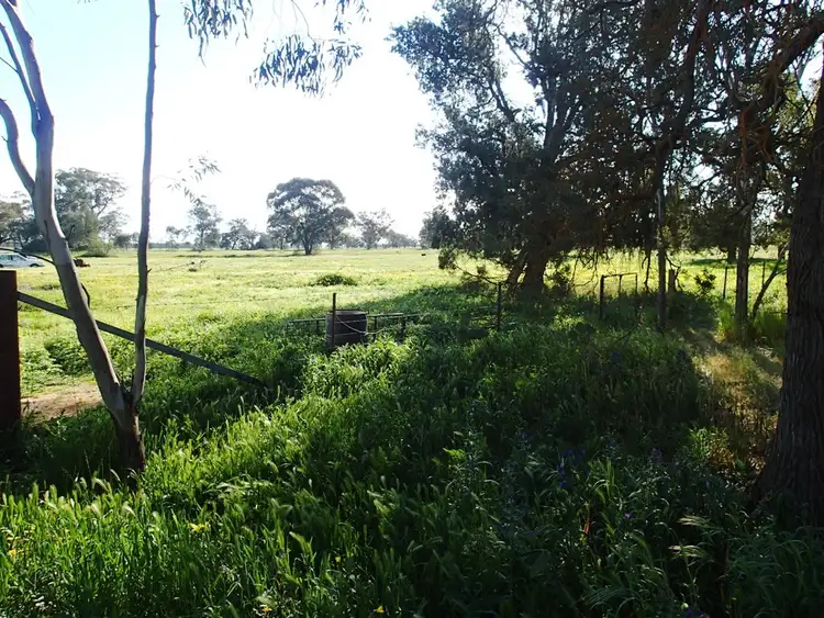 Seventh view of Homely rural property listing, 1 Kirkham Street, Lowesdale NSW 2646