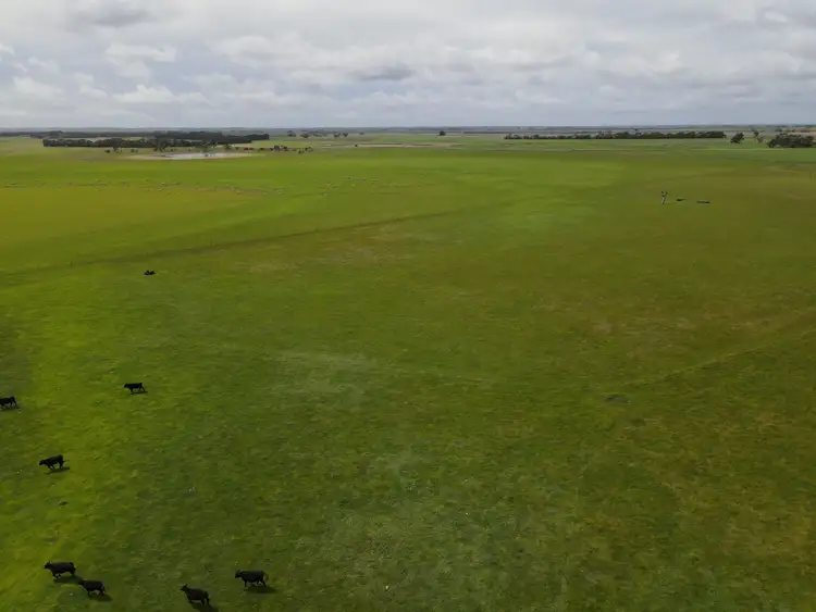 Fifth view of Homely rural property listing, Lot 35 Limberts Road, Bool Lagoon SA 5271