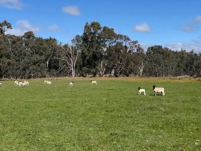 Main view of Homely rural property listing, Lot 1 Pahl Street, Apsley VIC 3319