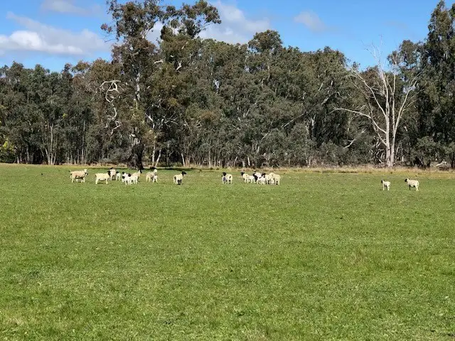 Second view of Homely rural property listing, Lot 1 Pahl Street, Apsley VIC 3319